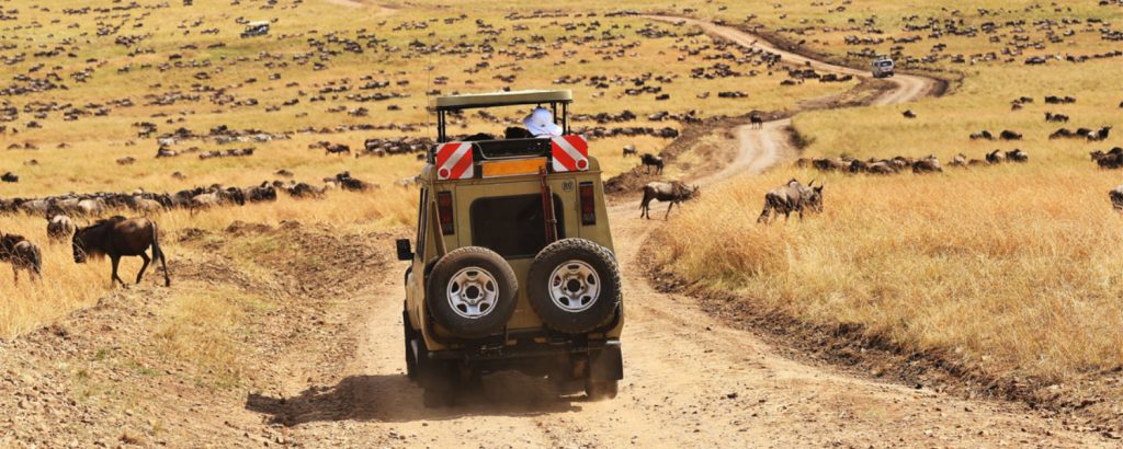 Serengeti Game Drive