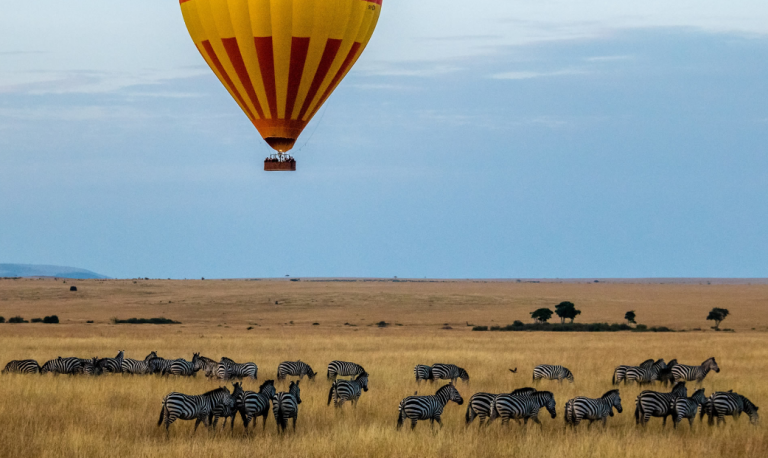Serengeti Hot air balloon.